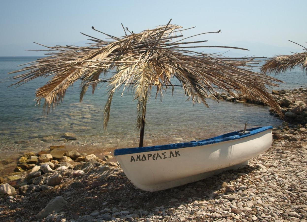 Villa Blue Cocoon - Chrani Messinia Peloponnese- Sea View 800 M From Beach 外观 照片